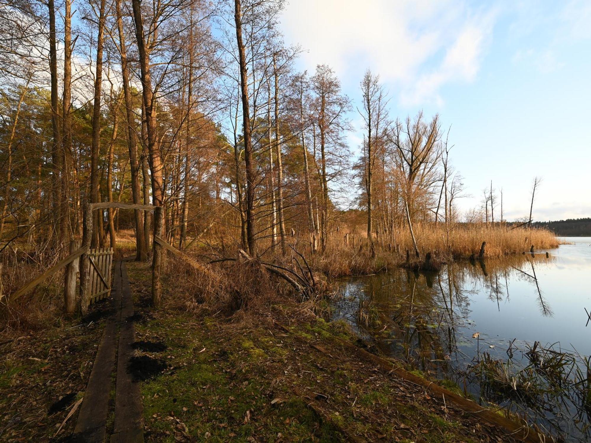 Ferienhaus-Park Brennickenswerder Lychen Exteriör bild