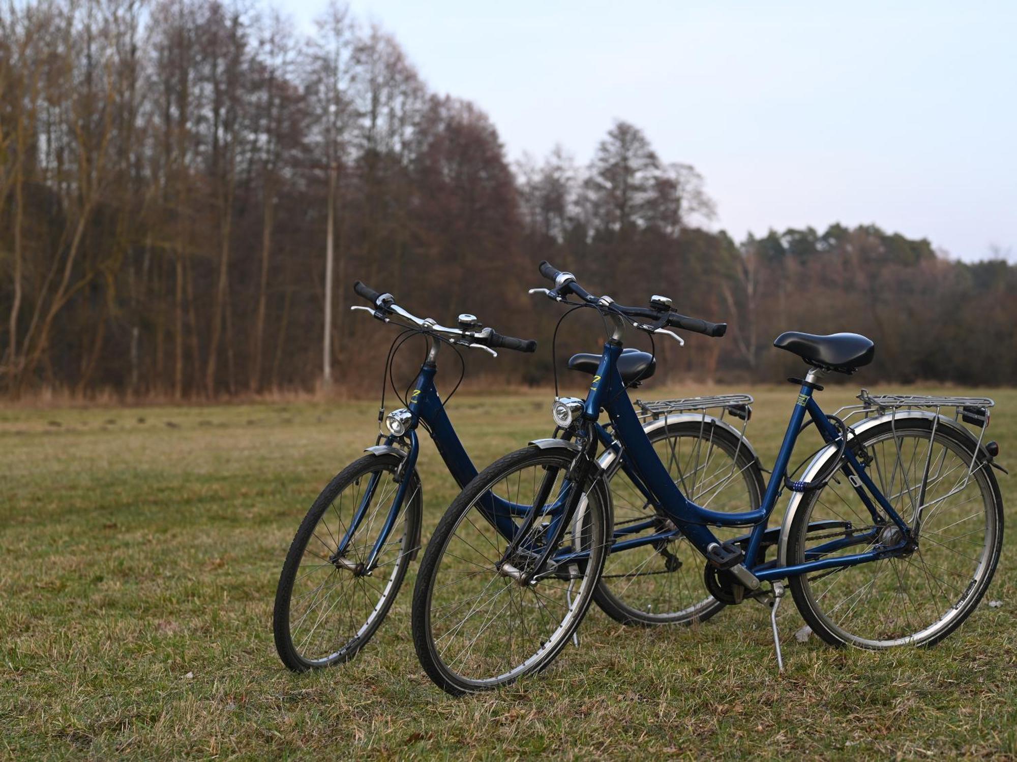 Ferienhaus-Park Brennickenswerder Lychen Exteriör bild